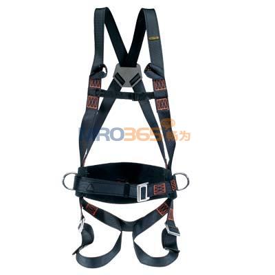 ������501056 ���ڵ��������ȫ��