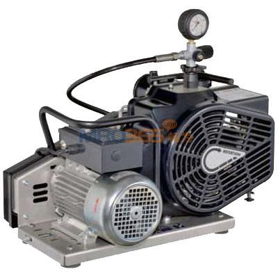 ÷˼��MSA 100EFI1��ѹ��������ѹ����9960028