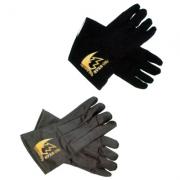 ����Τ��PRO-WEAR�绡��������