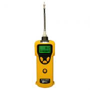 ����PGM-1600 SearchRAE ��ȼ��/�ж���������