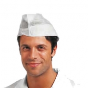˼��SIR 301 42 POLIFILM��ñ