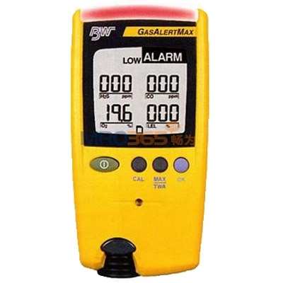 BW GasAlertMax����ʽ���ò���������̽����