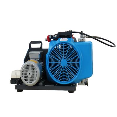 ÷˼��MSA 10181242 100TW ��ѹ��������ѹ��������������
