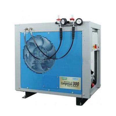 ÷˼��MSA 10126047 250HG��ѹ��������ѹ����