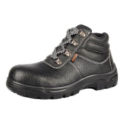 ���� SC-8885 ���ҷ��̴���ĥ����ȫЬ