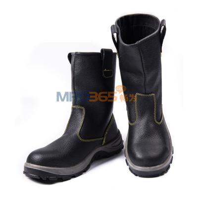 ������ 301404 ONTARIO S1P �������ޱ�ů�������ѥ