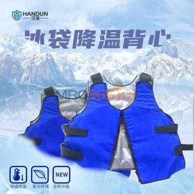 ���� HD-BHP003 ���±��� ����ɫ ����4�������