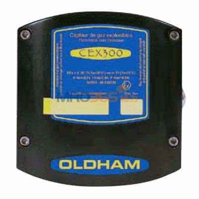 Ӣ˼��CEX 300��ȼ��������