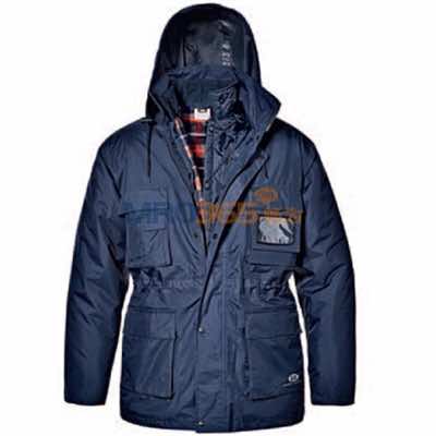 ˼��SIR 34107 Siberian Split�п˷�����