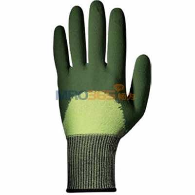 SIR˼���� 11957 Saturno��������