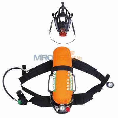 ÷˼��MSA AX2100�Ը���·ʽѹ������������