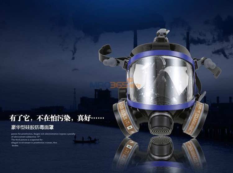 南核9006防护硅胶全面具(双滤盒)