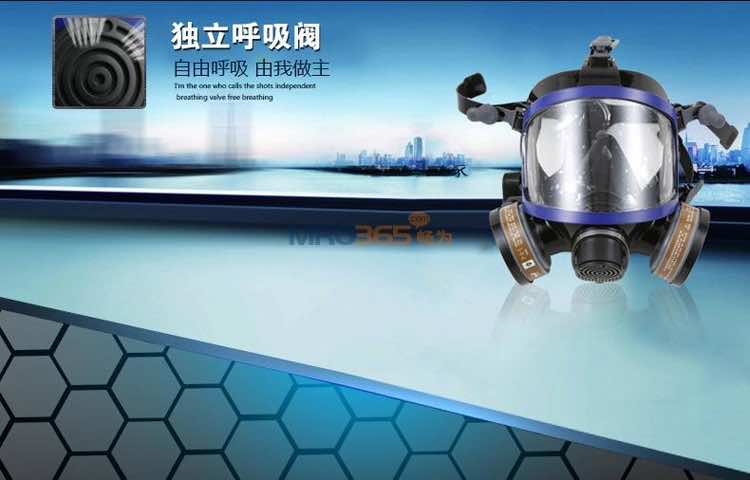 南核9006 防护硅胶全面具(双滤盒)
