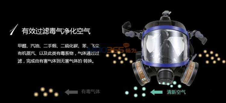 南核9006 防护硅胶全面具(双滤盒)