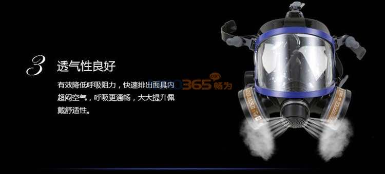 南核9006 防护硅胶全面具(双滤盒)
