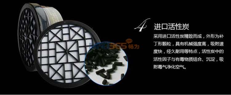 南核9006 防护硅胶全面具(双滤盒)