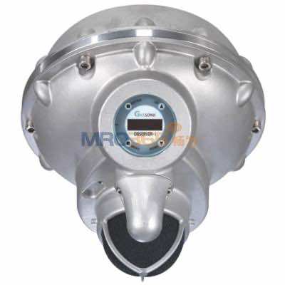 ÷˼��MSA GASSONIC OBSERVER-i����������й©̽����