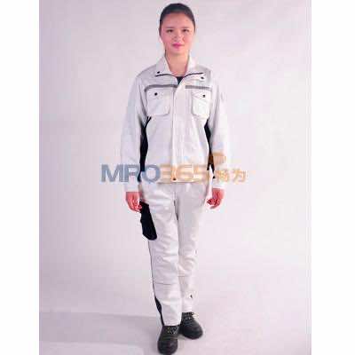 ����JSHD2-002 ��ɫ/������ȼ��