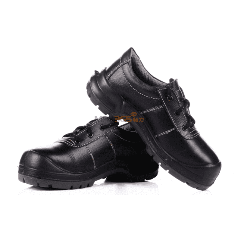 King's Comfort KWD800�ͰﰲȫЬ